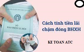 Hoc ke toan o thanh hoa Nếu bạn chậm đóng tiền bảo hiểm bạn sẽ phải chịu phạt, vậy cách tính alxi nộp chậm và truy thu thế nào?Xin