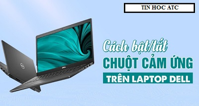 Hoc tin hoc van phong o Thanh Hoa Bạn muốn tắt chuột cảm ứng trên laptop, hãy tham khảo bài viết sau đây nhé! Mời các bạn theo dõi bài viết :