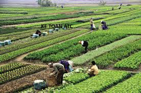 Học kế toán thuế ở Thanh Hóa Công việc của kế toán trồng trọt là gì? Chúng ta cùng tìm hiểu ngay dưới đây nhé!I. Các nghiệp vụ kinh tế liên
