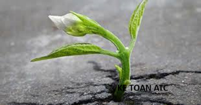 Học kế toán thuế ở Thanh Hóa Cuộc sống không phải lúc nào cũng trải đầy hoa hồng. Có những ngày ta cảm thấy mệt mỏi, thất vọng vì những