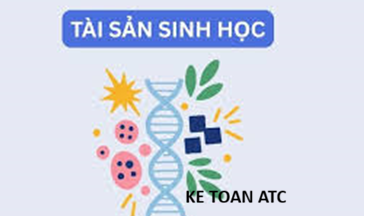 Hoc kế toán thực hành ở thanh hóa Từ ngày 01/01/2026, Thông tư 99/2025/TT-BTC chính thức có hiệu lực và thay thế Thông tư 200/2014/